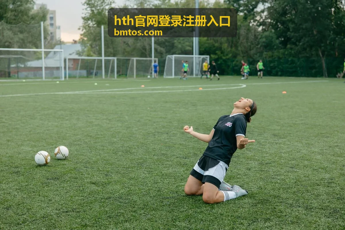 hth官网登录注册入口 首次登录操作步骤说明